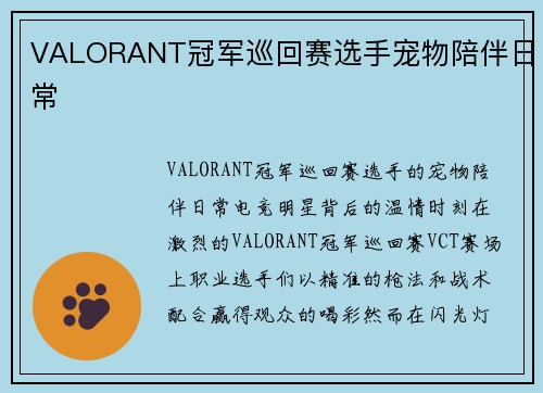 VALORANT冠军巡回赛选手宠物陪伴日常