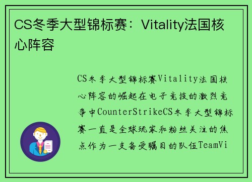 CS冬季大型锦标赛：Vitality法国核心阵容